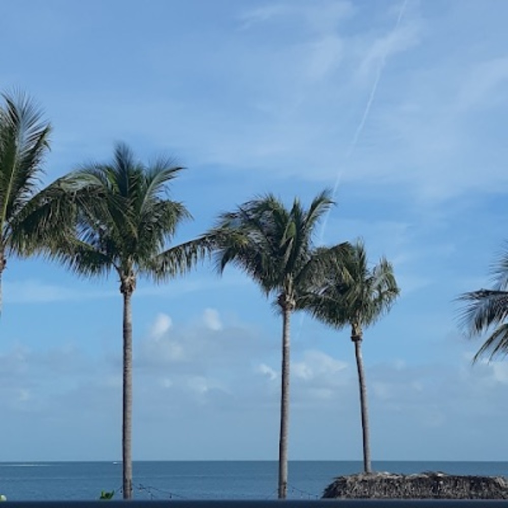 Meet your Posher, Tiana